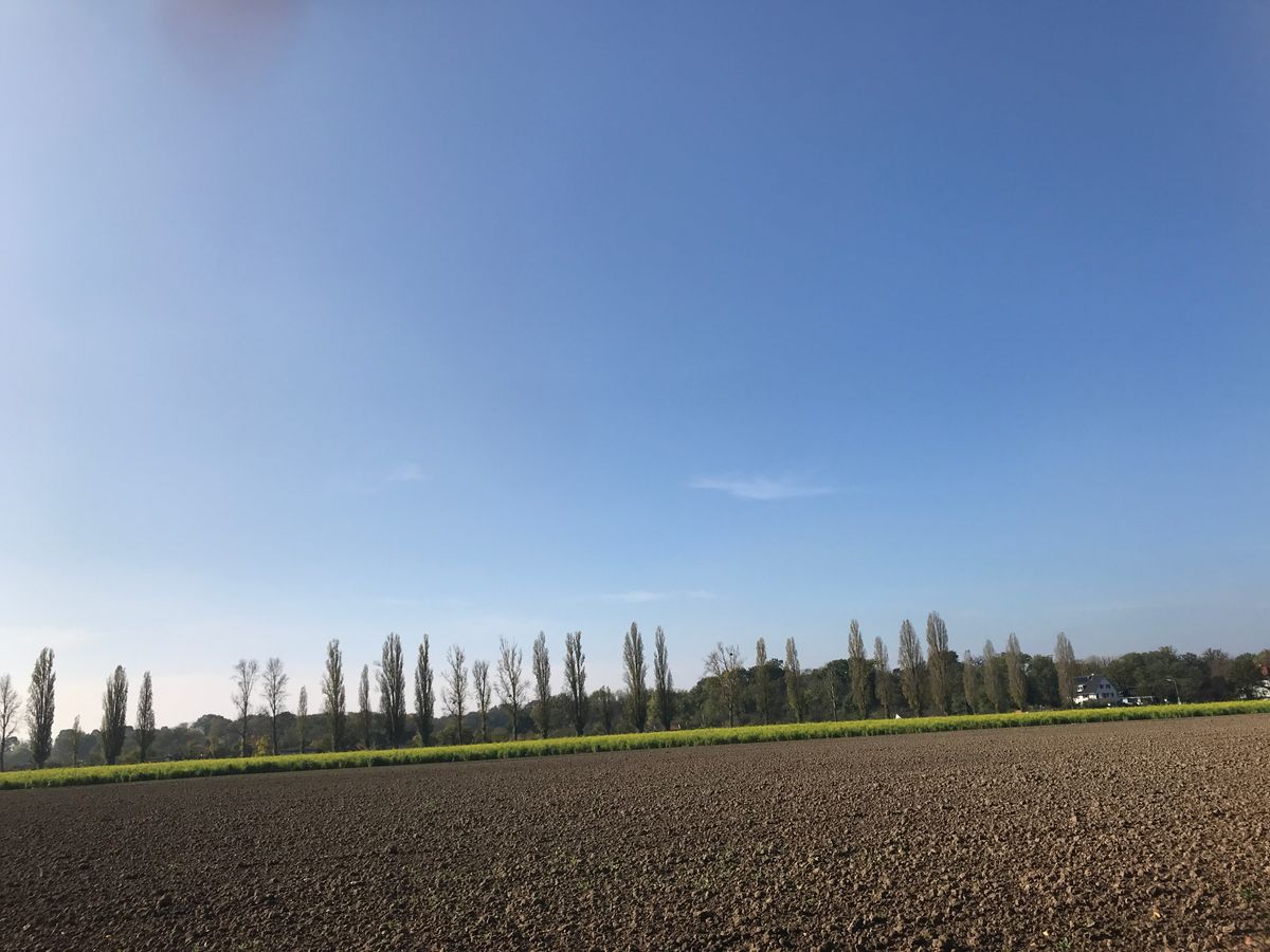 ドイツ就労:住民登録