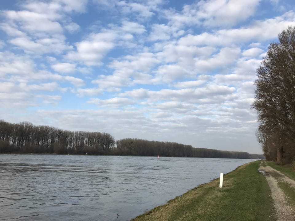 赴任4ヶ月を迎えて